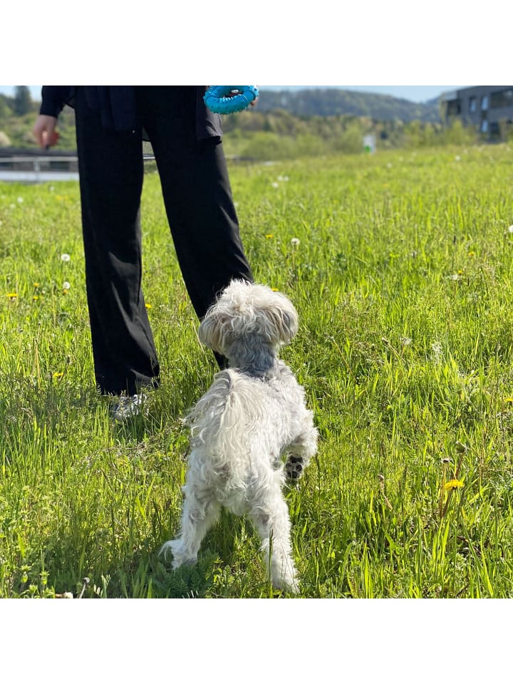 Intirilife Hunde Kauspielzeug 12,5 cm Kauring in Blau günstig kaufen onesize