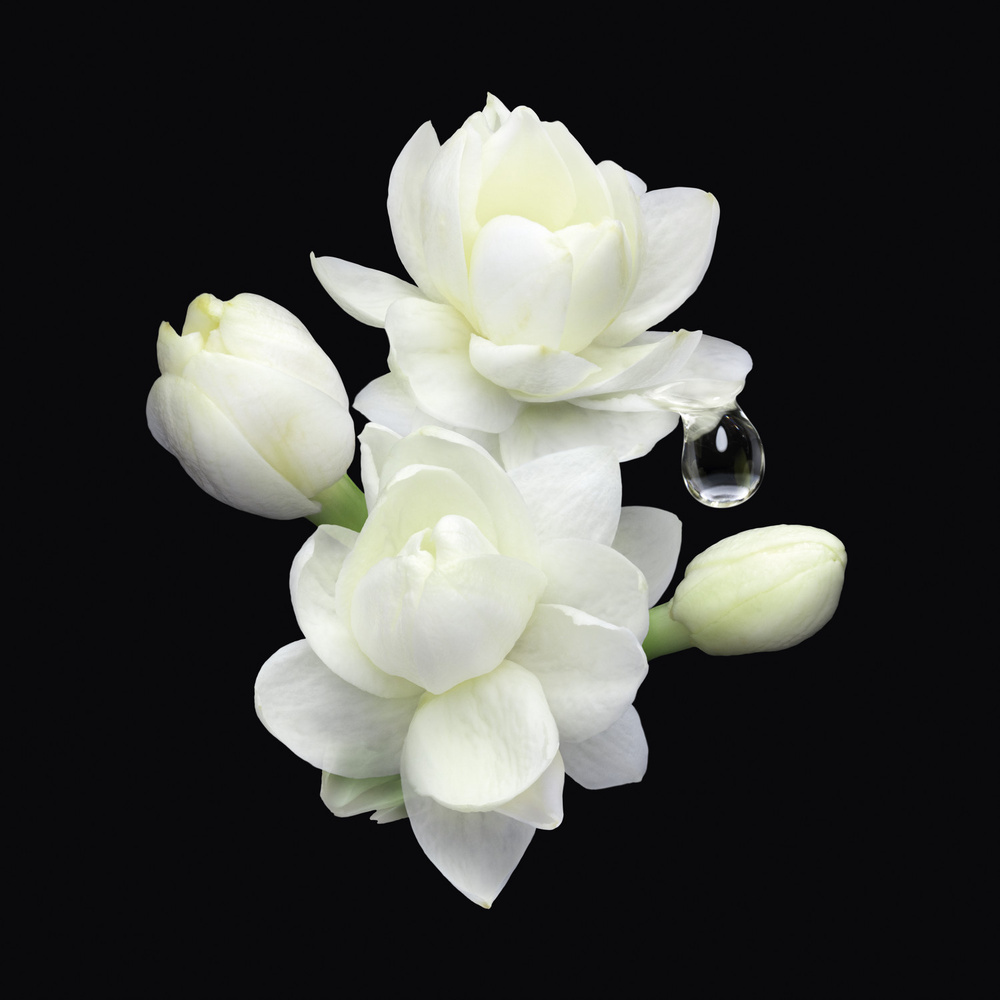 Armani Privé Armani/Privé Jasmin Kusamono Eau de Toilette