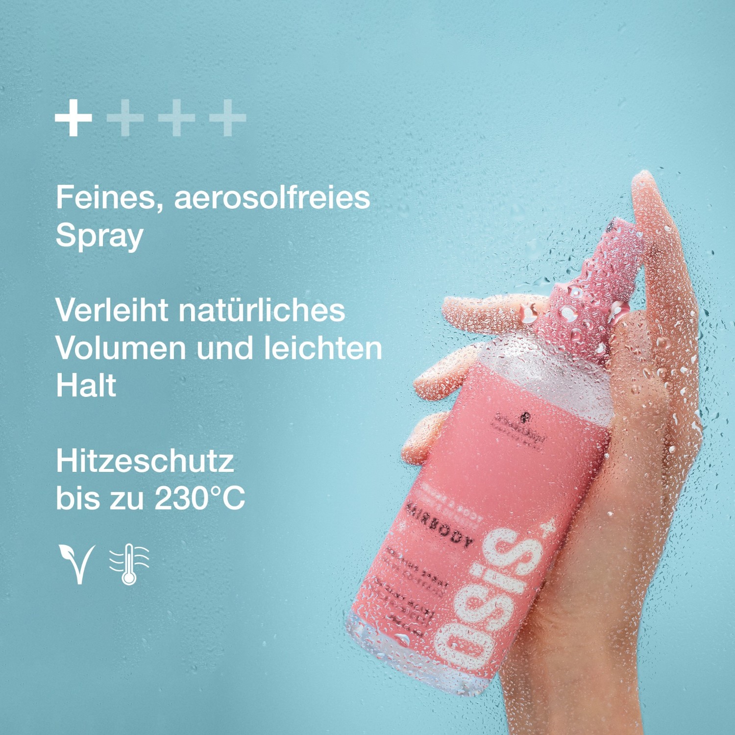 Hairbody