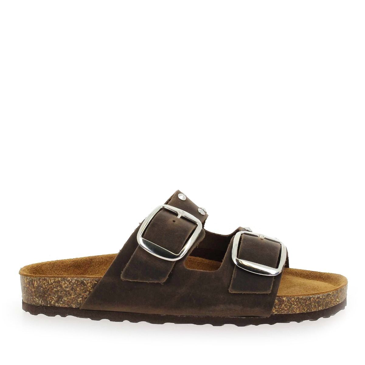 Bio gold  1018 E 96 - Marron