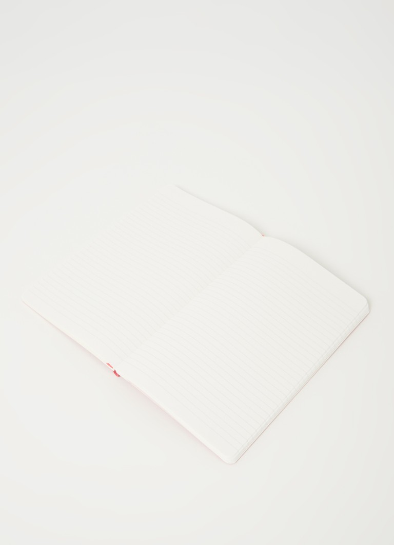 Zápisník Moleskine Moleskine Large Li