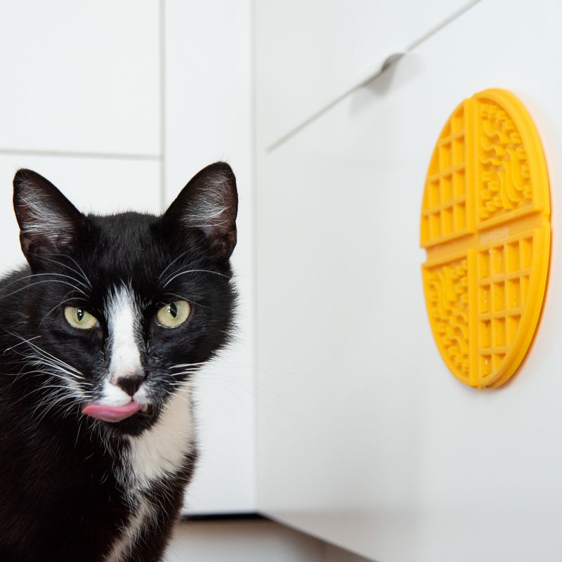 Schleckmatte Waffle für Hund und Katze zu TOP-Preisen | bitiba.de