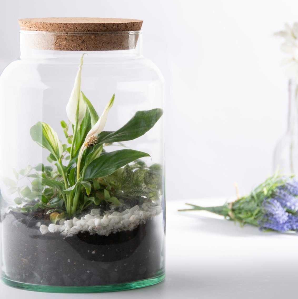 esschert design Übertopf Halboffene Terrarium Flasche Glas 7L Pflanzen Deko Gewächs Haus Blumen Kork Haus