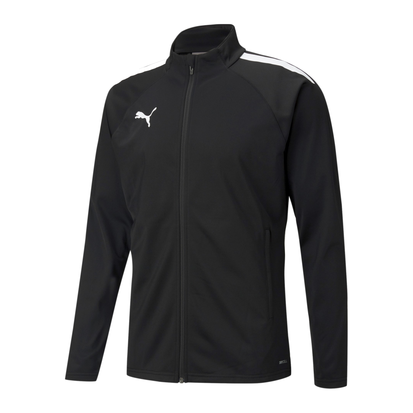 PUMA teamLIGA Trainingsjacke Schwarz F03