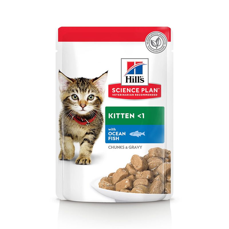Sparpaket Hill's Science Plan Kitten 24 x 85 g