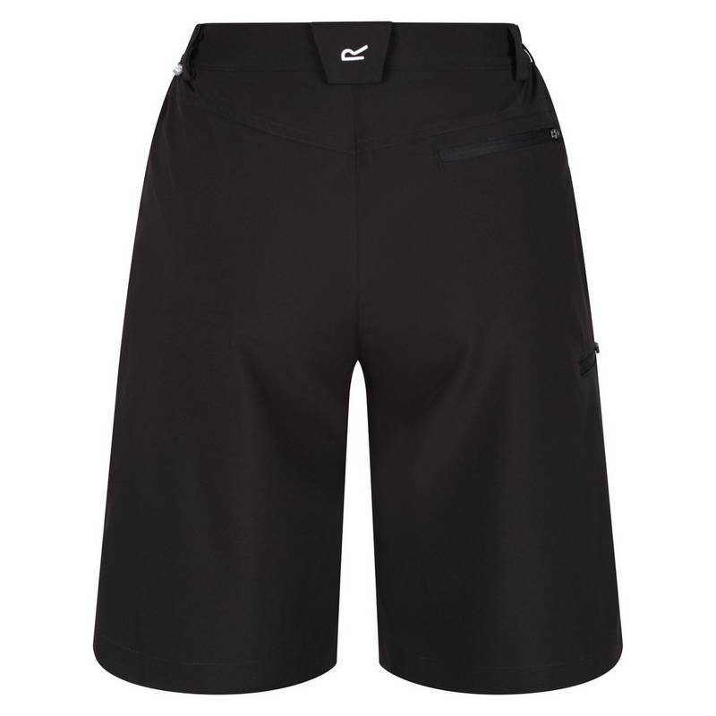 Regatta Xert It Shorts Damen