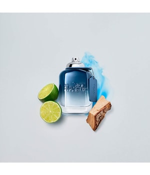 Coach Blue Eau de Toilette 100 ml
