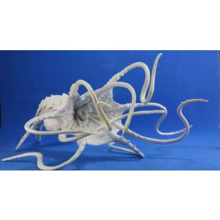 Kraken