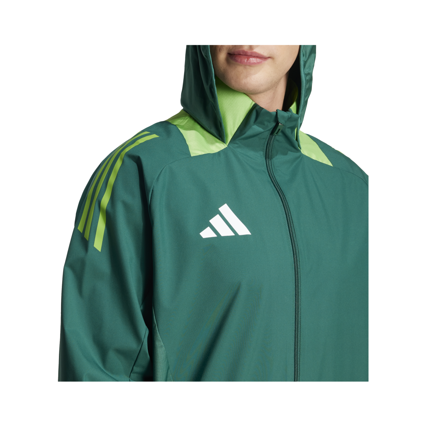adidas Tiro 24 Competition Allwetterjacke Grün