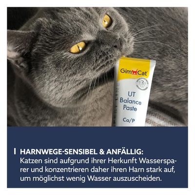 GimCat UT Balance Paste