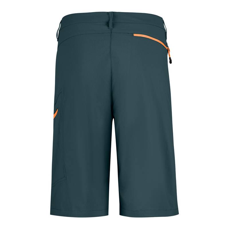 Jeff Green Jam Funktionsshorts Herren