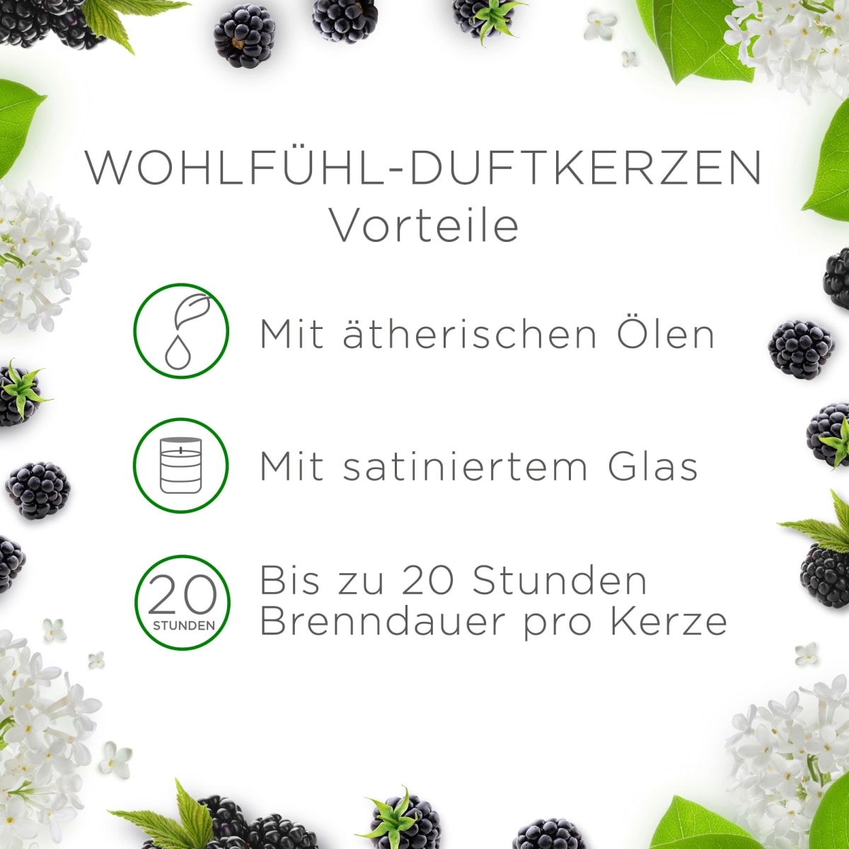 Duftkerze im Glas Brombeere & Holunderblüte (2x105 g), 2 St