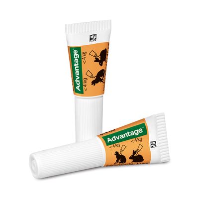 Advantage® für Katzen und Zierkaninchen