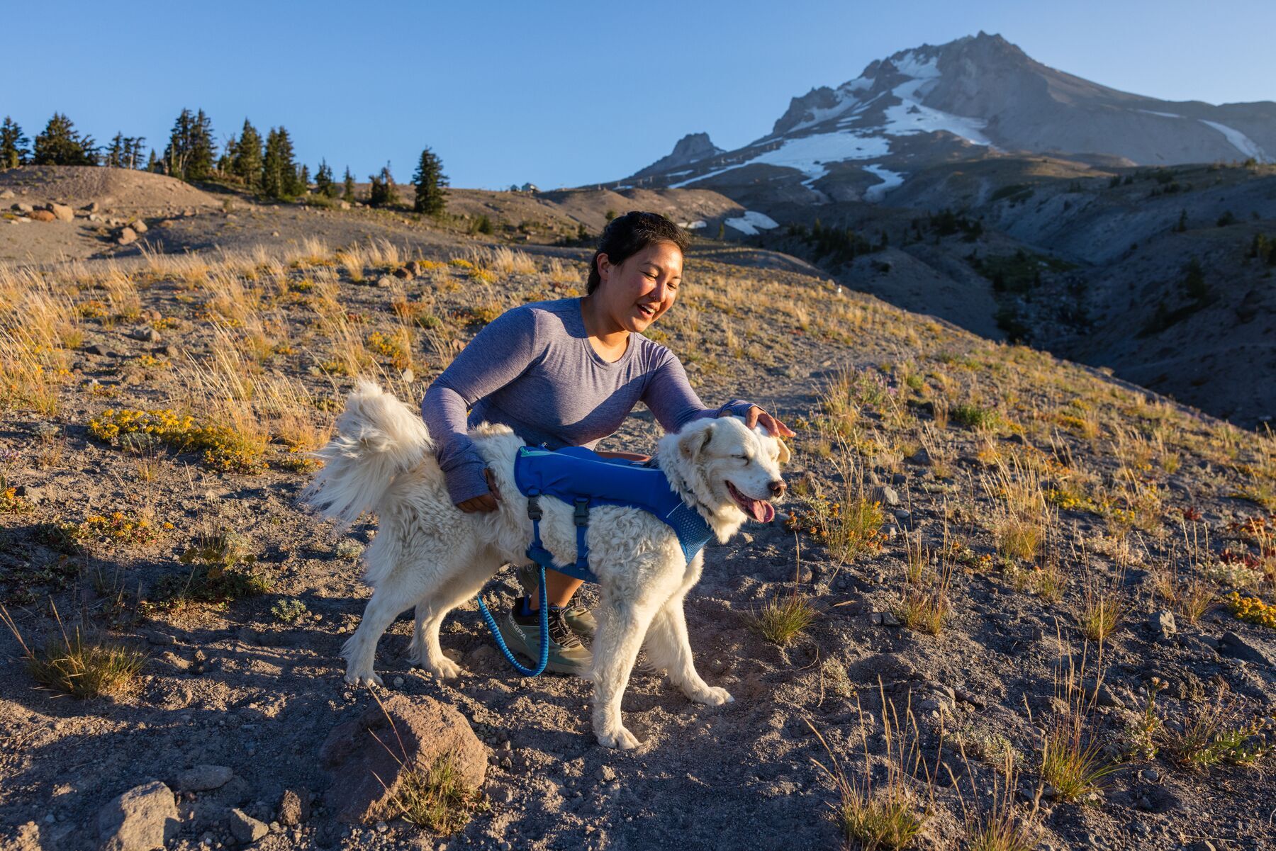 Ruffwear Hundewesten Ruffwear Trail Runner™ Weste blau XS