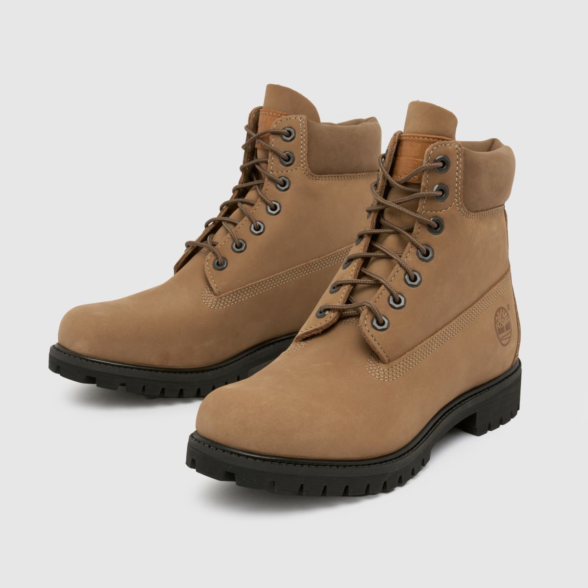 Timberland premium 6-palčni škornji v bež barvi