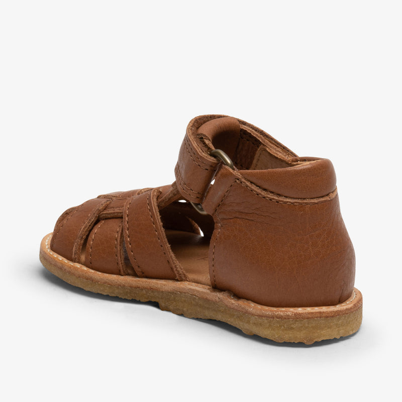 ami cognac - Braun