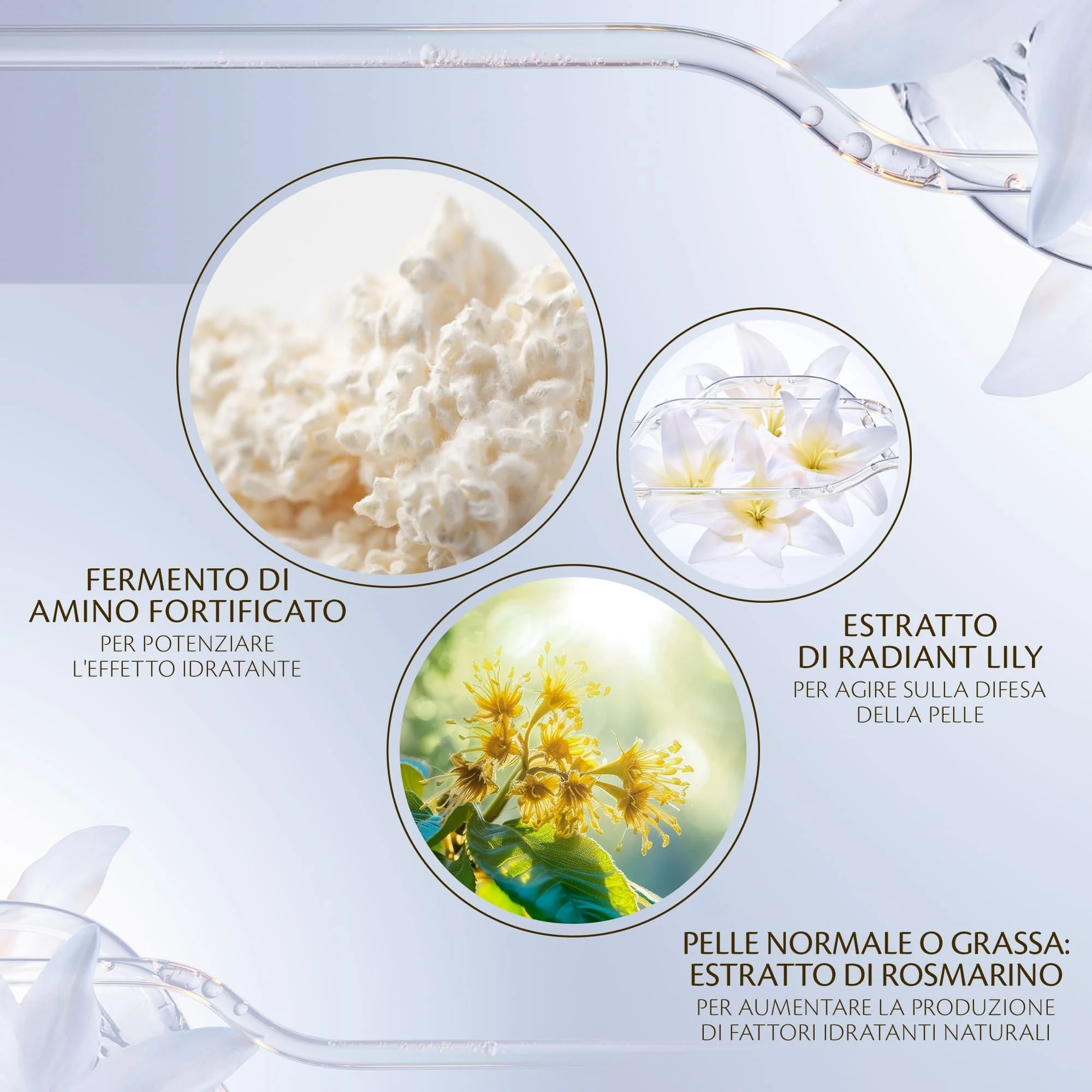Key Radiance Care Hydro-Clarifying Essence Lotion – Feuchtigkeitsspendendes Gesichtsfluid, aufhellendes Gesichtsfluid, Hautperfektion