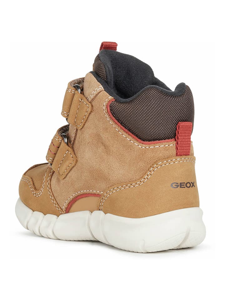 Geox Boots 