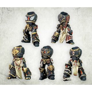 Seraphim Knights Prime Bodies (5)