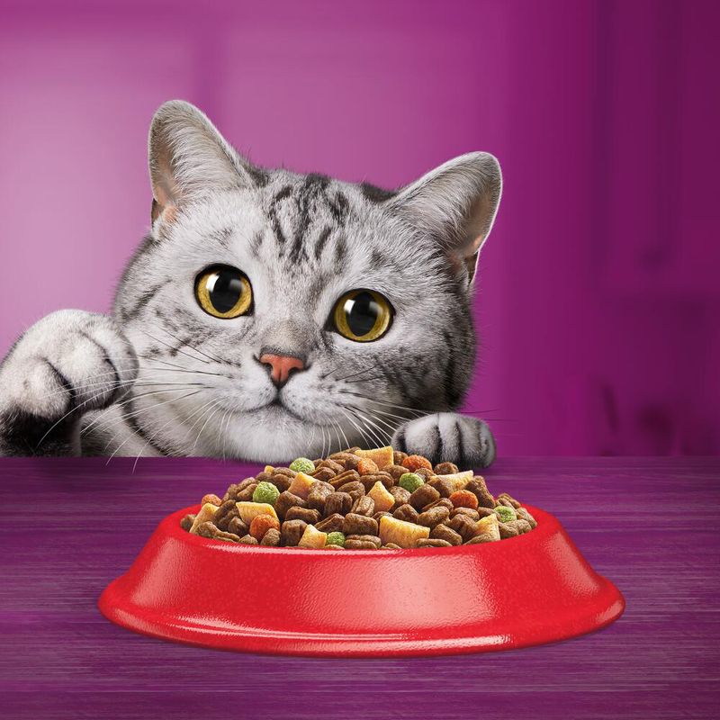 Whiskas 1+ Rind zu TOP-Preisen