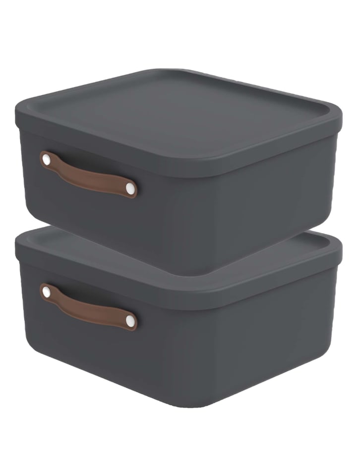 Rotho 2er-Set Kiste mit Deckel Maloja 20l in Holzkohle schwarz ged. günstig kaufen onesize