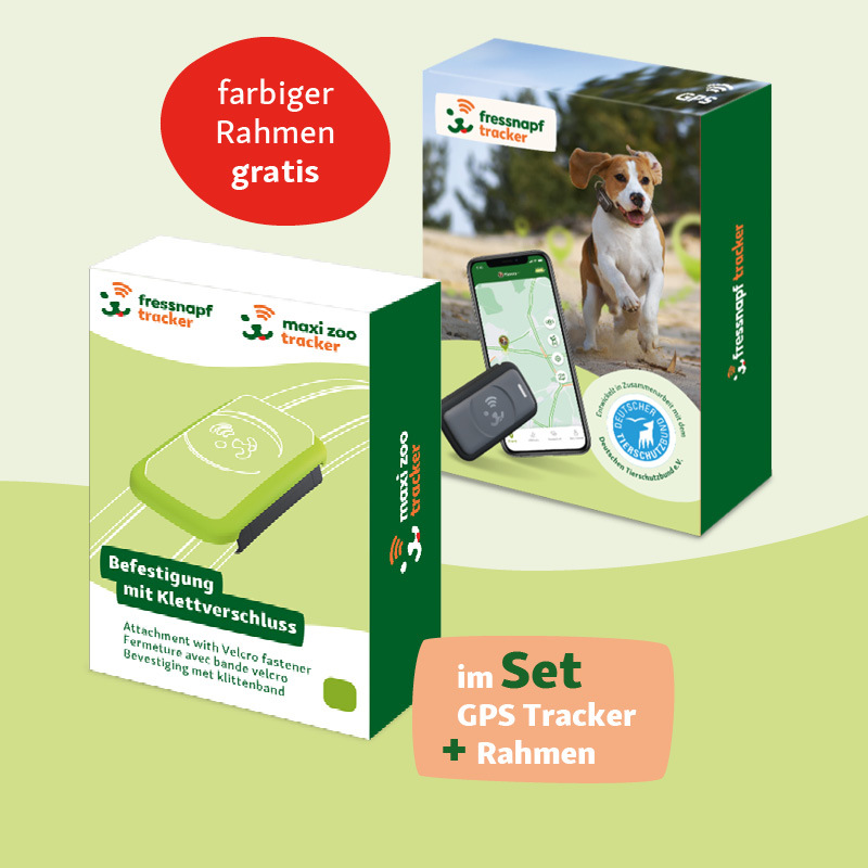 Fressnapf GPS Tracker & Zubehör Fressnapf GPS-Tracker für Hunde grün