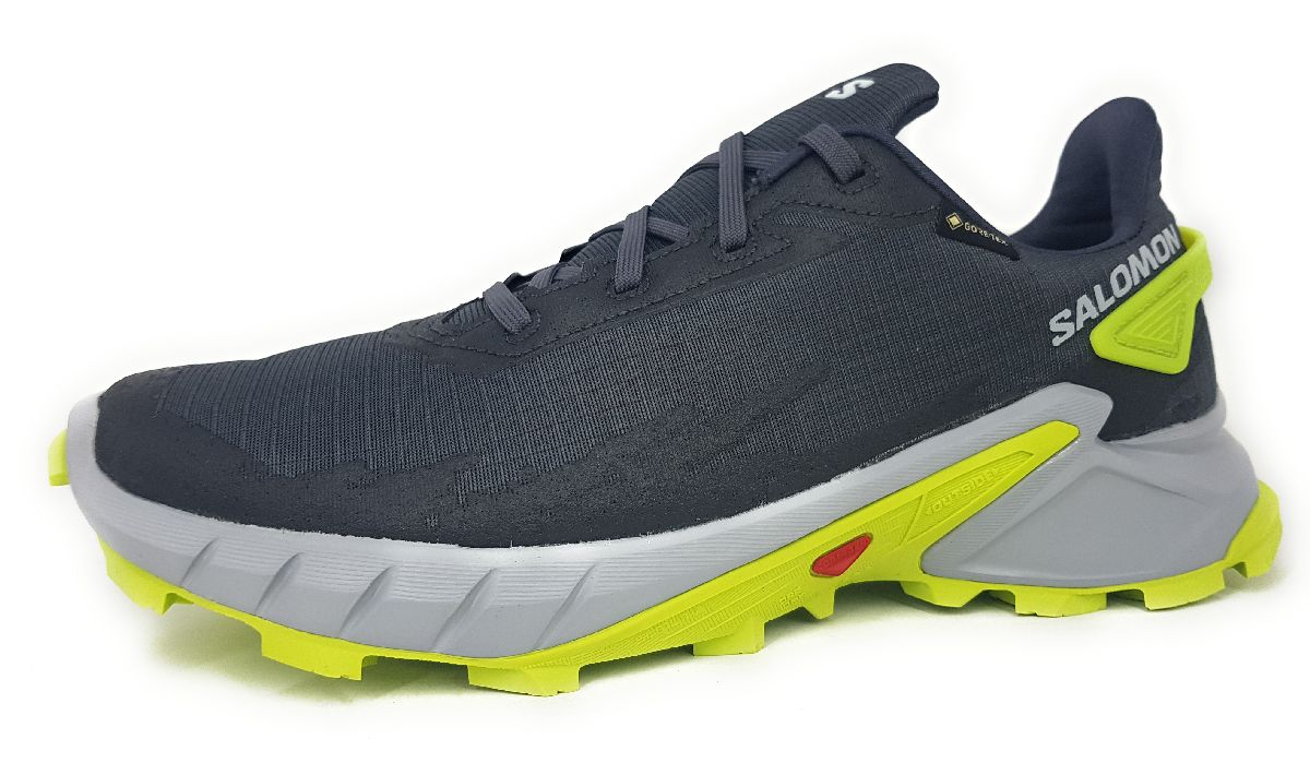 Salomon Alpha Cross 4GTX L47066700 Grau Ebony