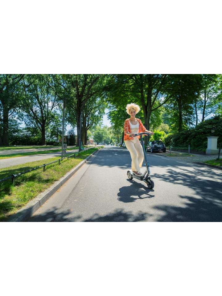 Egret E-Scooter Ey! 2 in grau günstig kaufen onesize