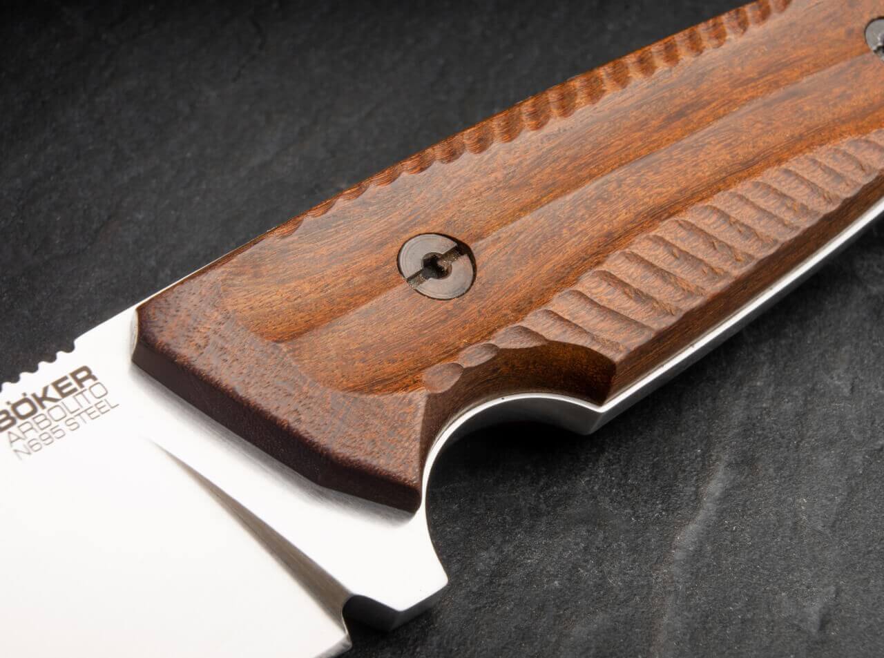 Bison Guayacan