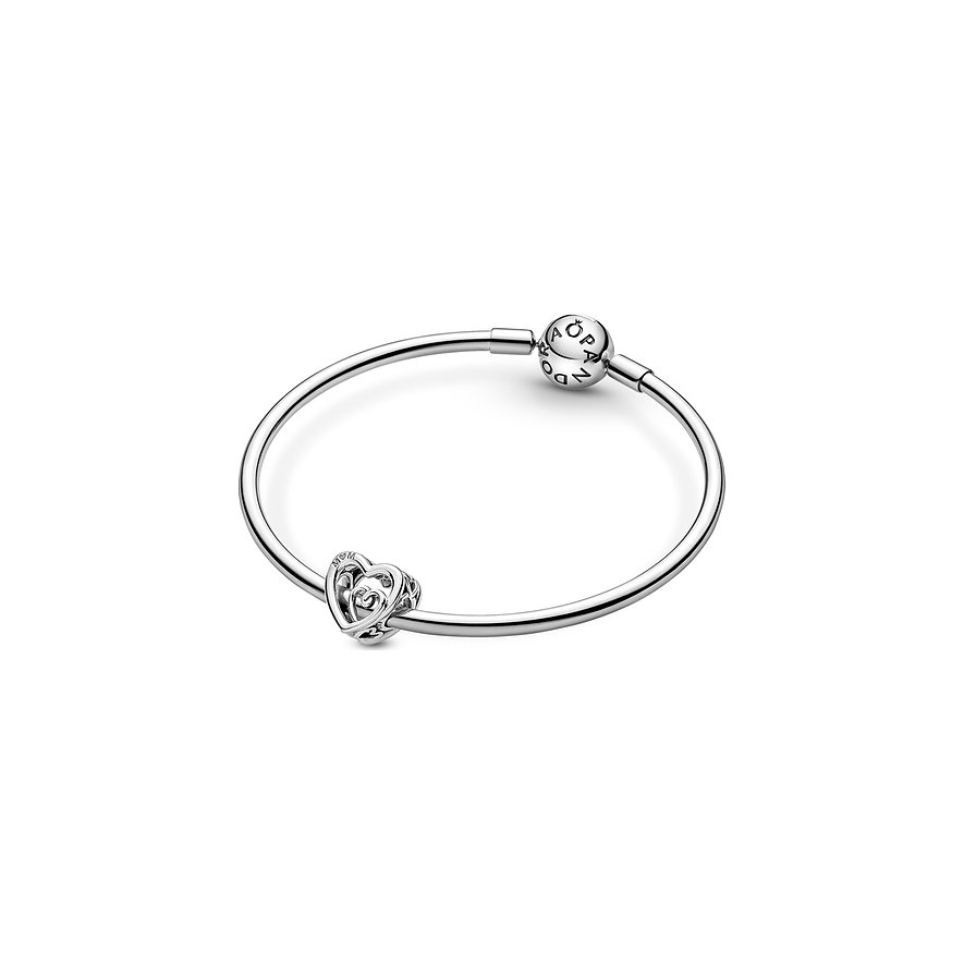 Pandora Charm Moments