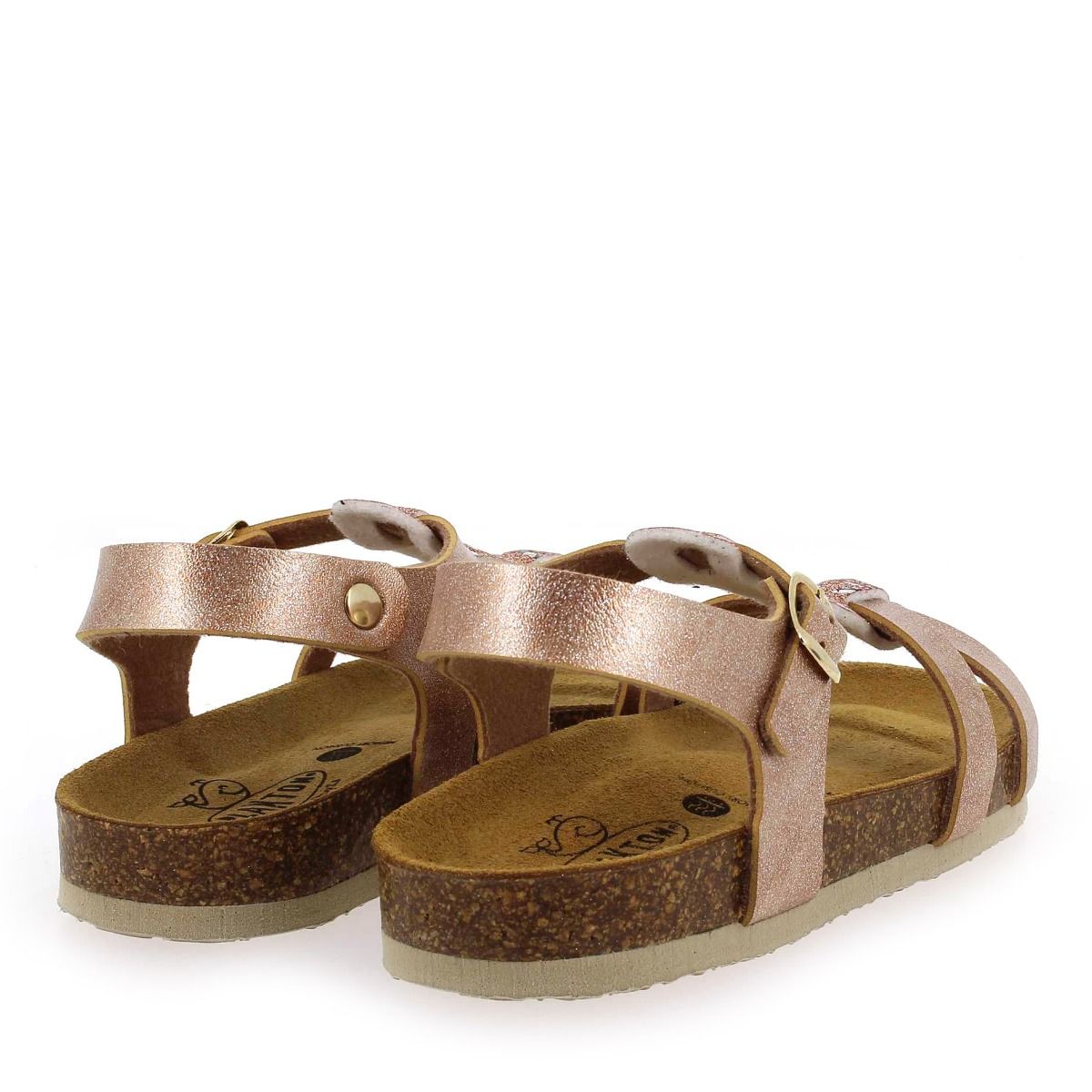 Plakton   CROSS - Rose multi
