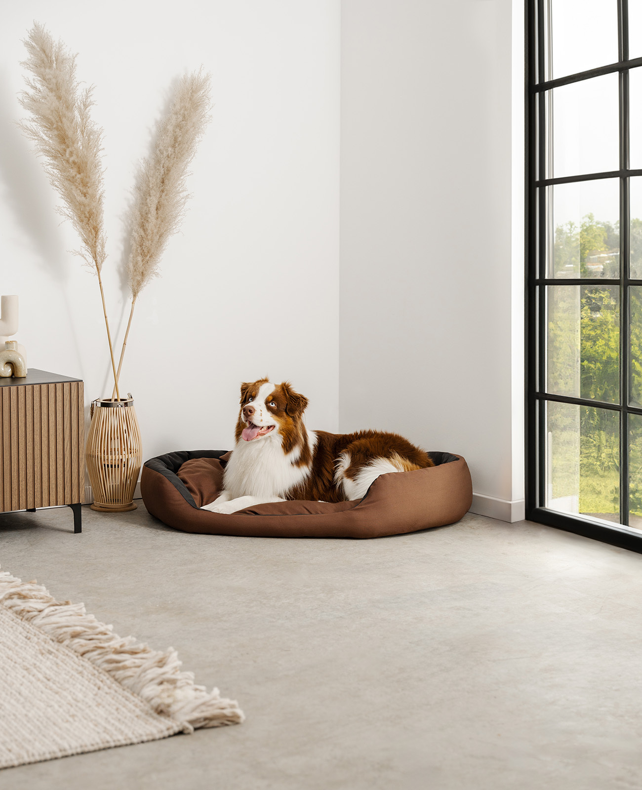 Lionto Hundebetten Lionto 4-in-1 Hundebett L