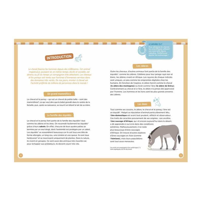 Coffret à la découverte des chevaux Nouvelle édition - Auzou