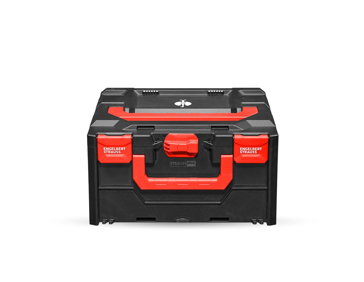 STRAUSSbox 215 midi