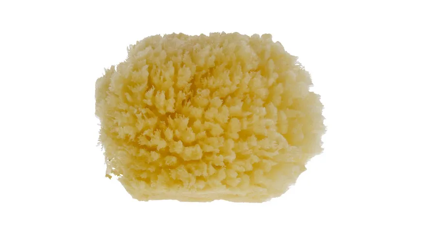 PARSA Beauty Baby Naturmeeresschwamm Mini