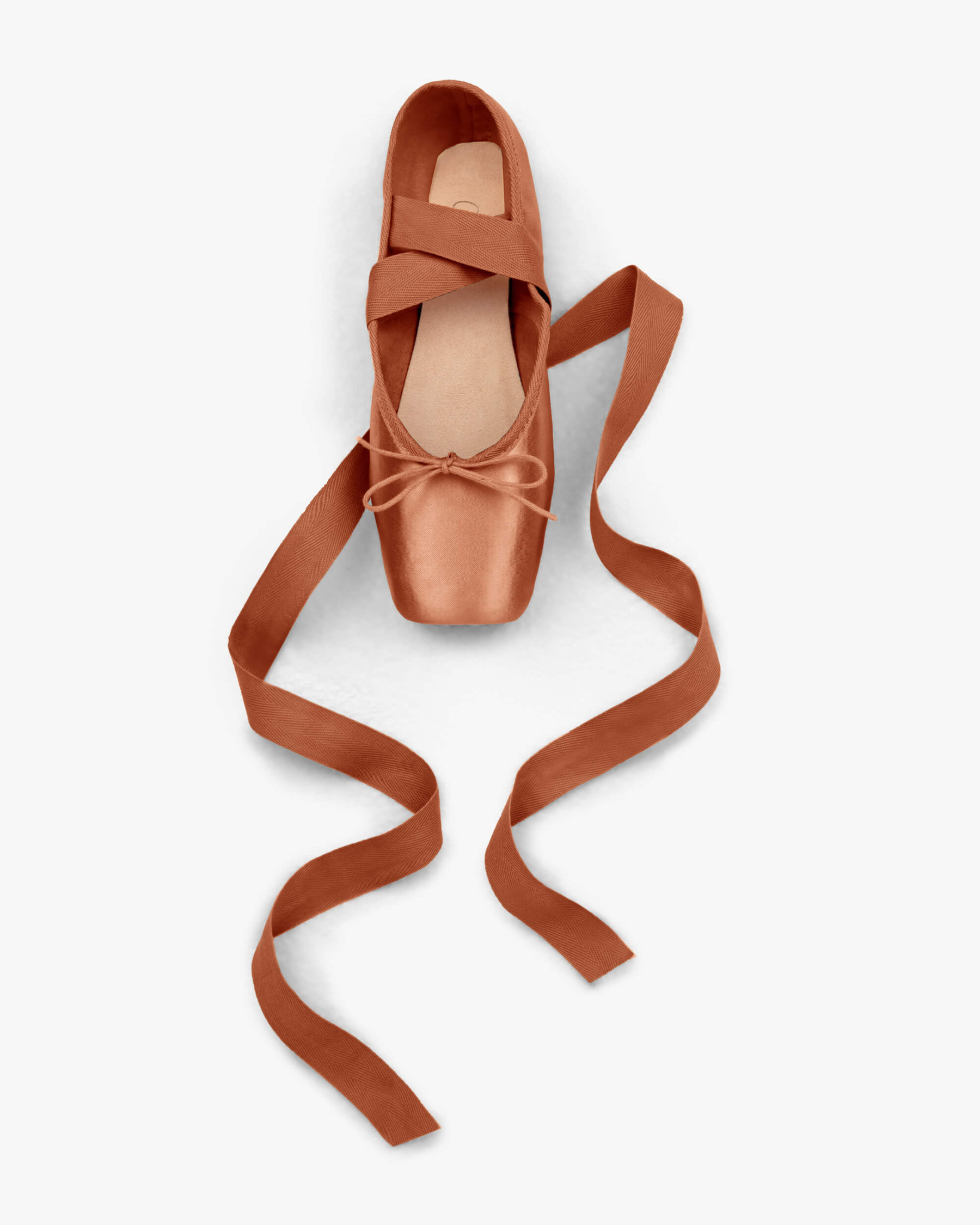 Alicia pointe shoes - Large box Hard sole