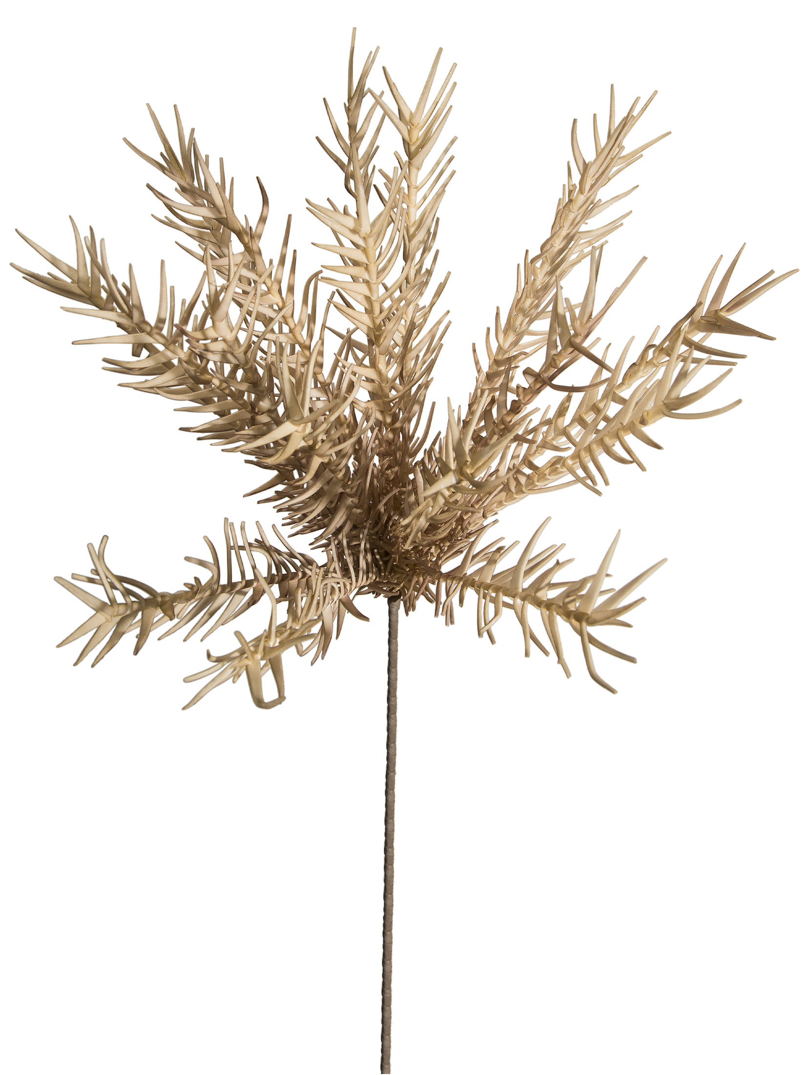Klariolo Kunstblume, Hellbraun