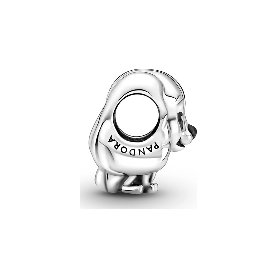 Pandora Charm x Pandora