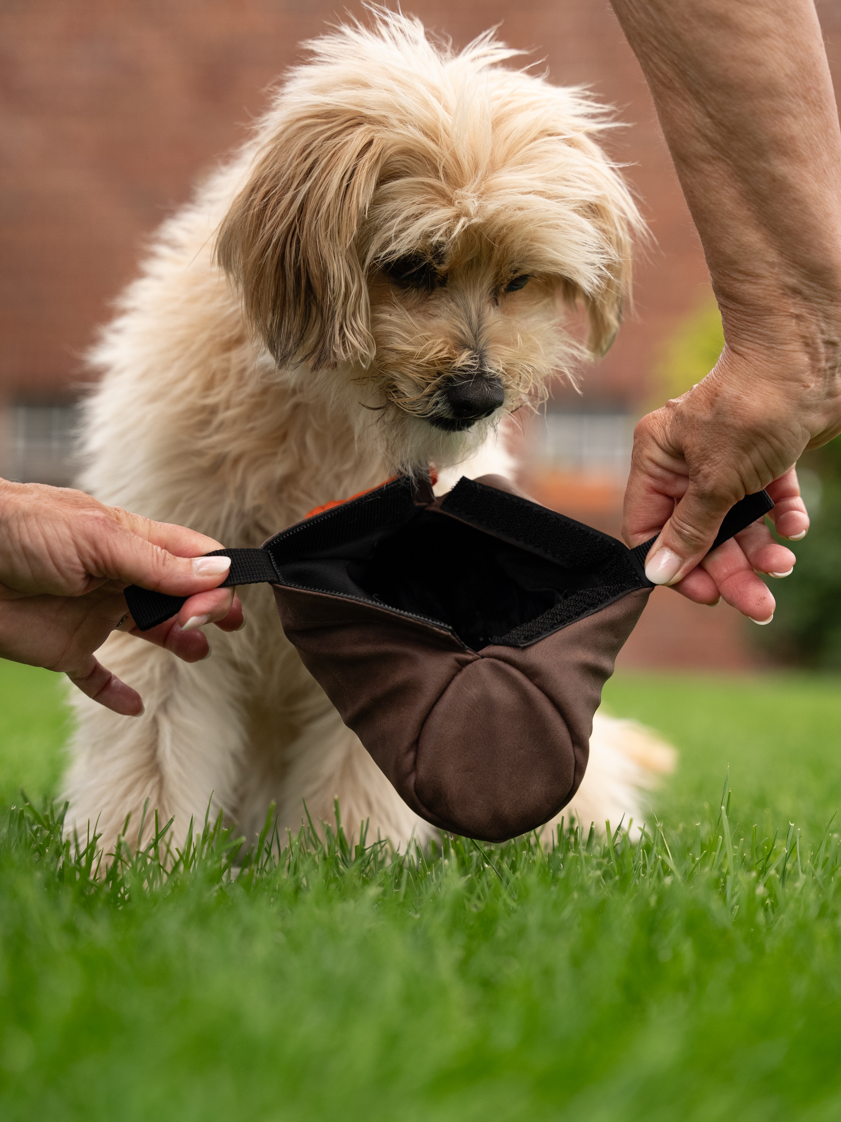 TrendPet Snackbeutel TrendPet KURT Futterdummy braun L