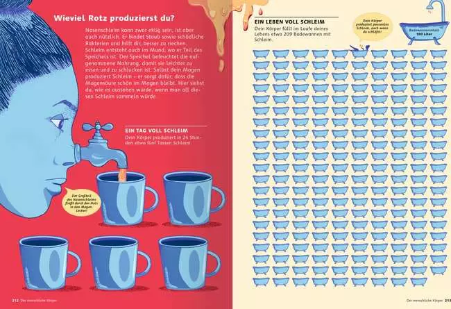 Das große Buch der Infografiken