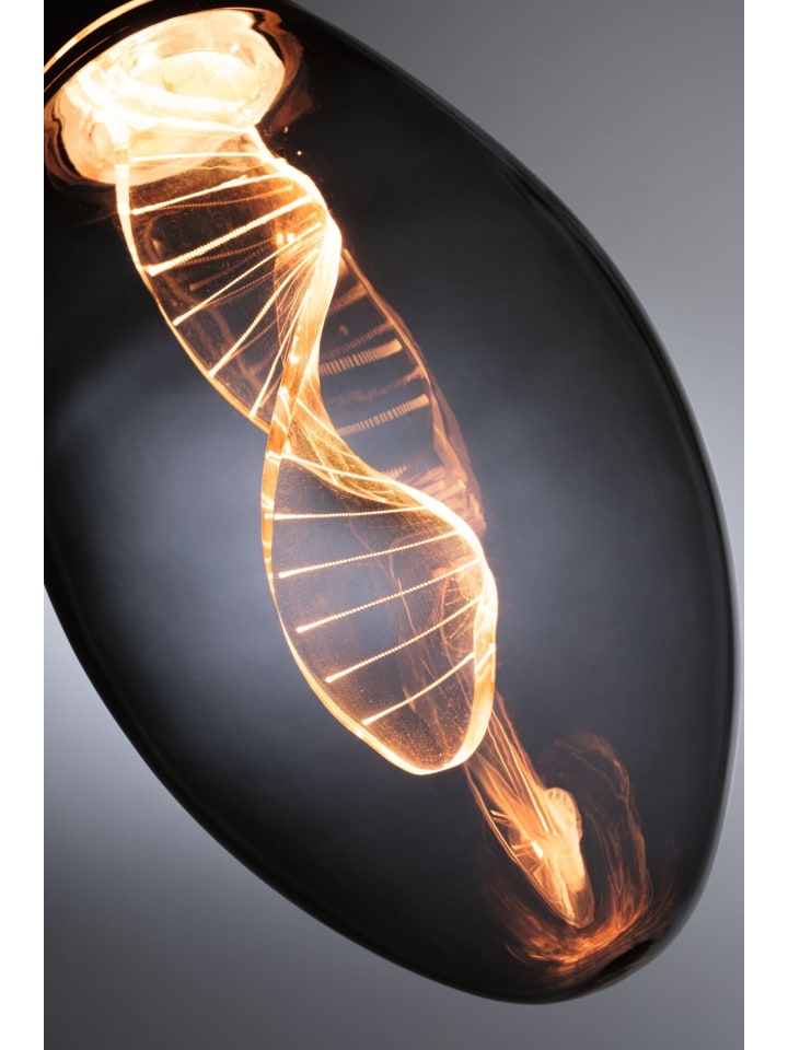 paulmann Inner Glow Edition LED Birne Helix günstig kaufen onesize