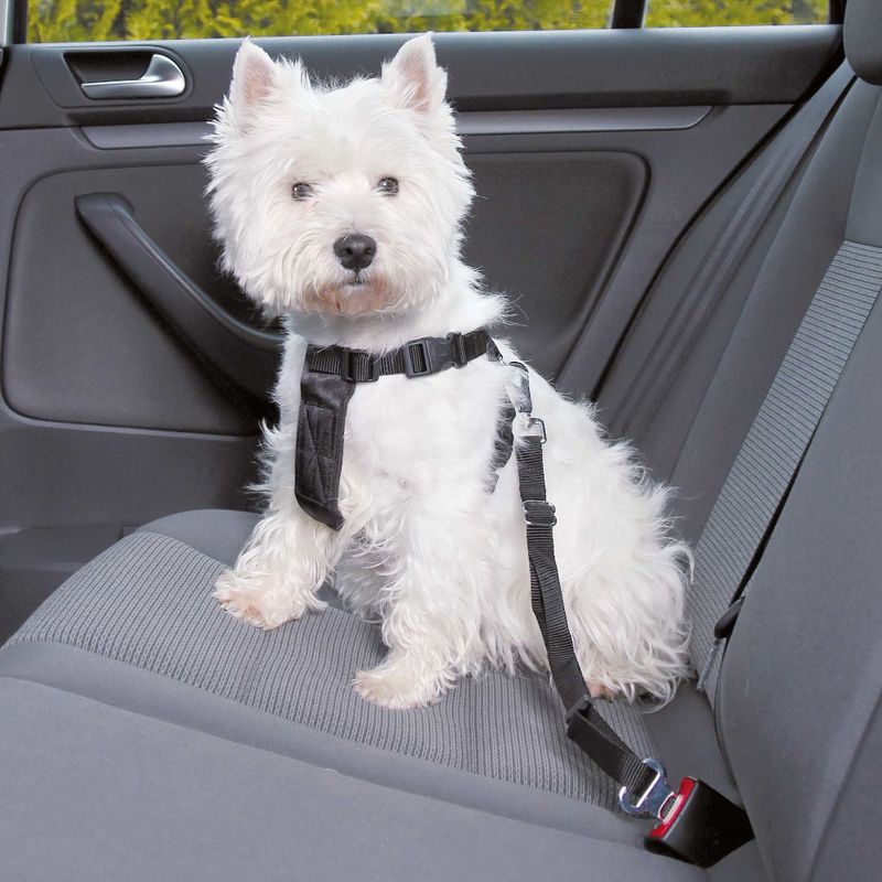 Trixie Auto-Geschirr für Hunde zu TOP-Preisen