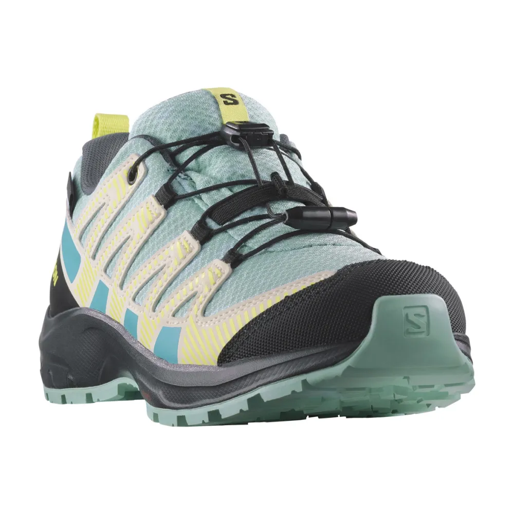 Salomon XA PRO V8 CSWP L47434800 / bunt