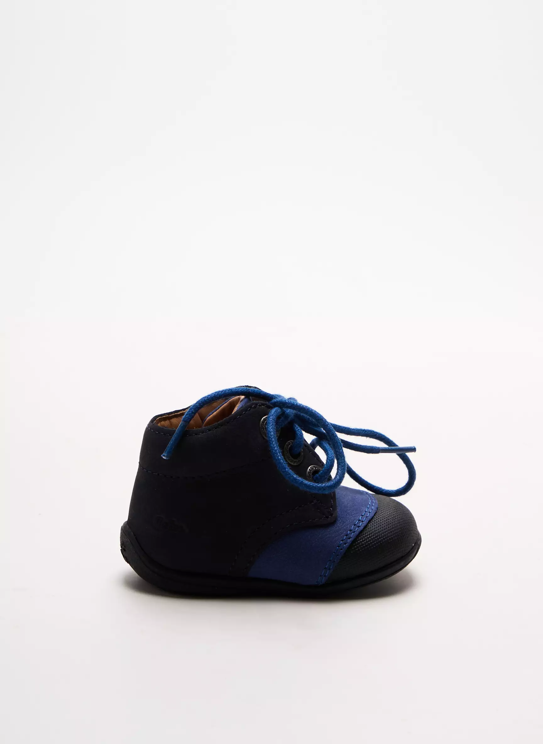 Aster Bottillons Garcon couleur bleu