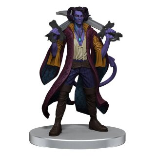 Critical Role: The Mighty Nein Boxed Set (pre-painted) (9)