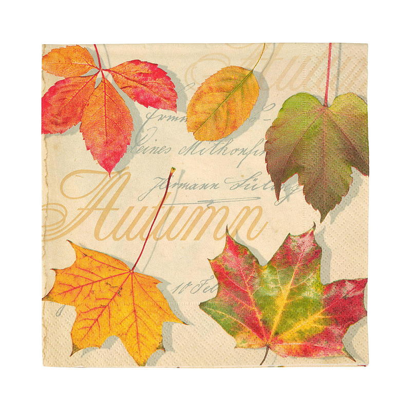 Vie Eco Servietter 20-pk 33x33 cm Høst/vinter