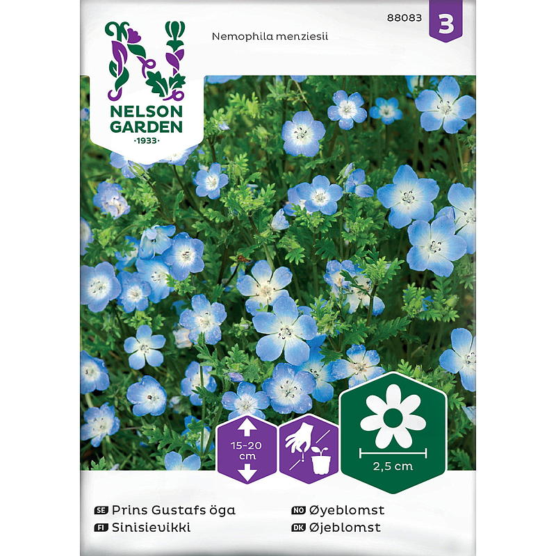 Nelson garden Frø Øyeblomst Blå
