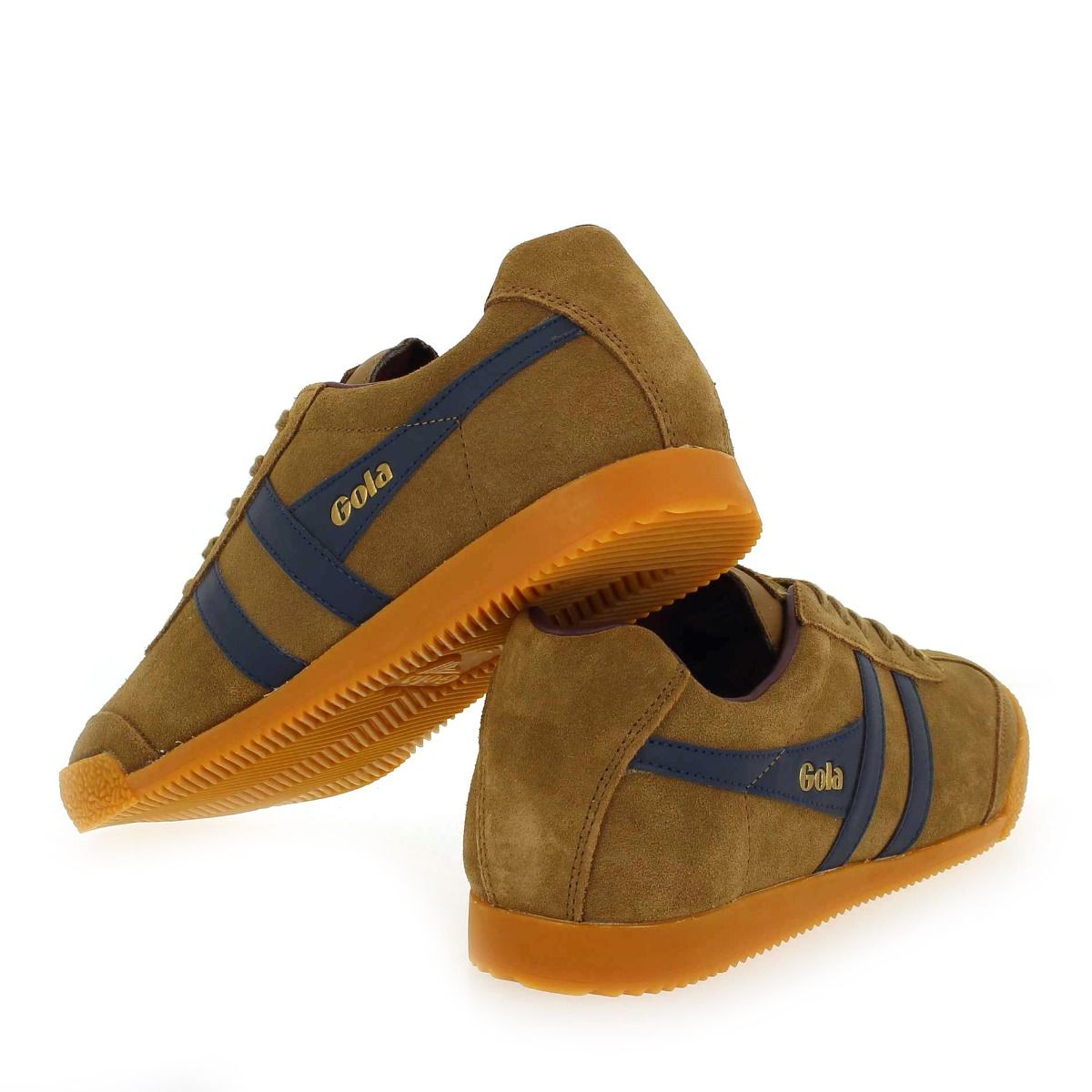 Gola  HARRIER GOLA CMA192 - tabac marine