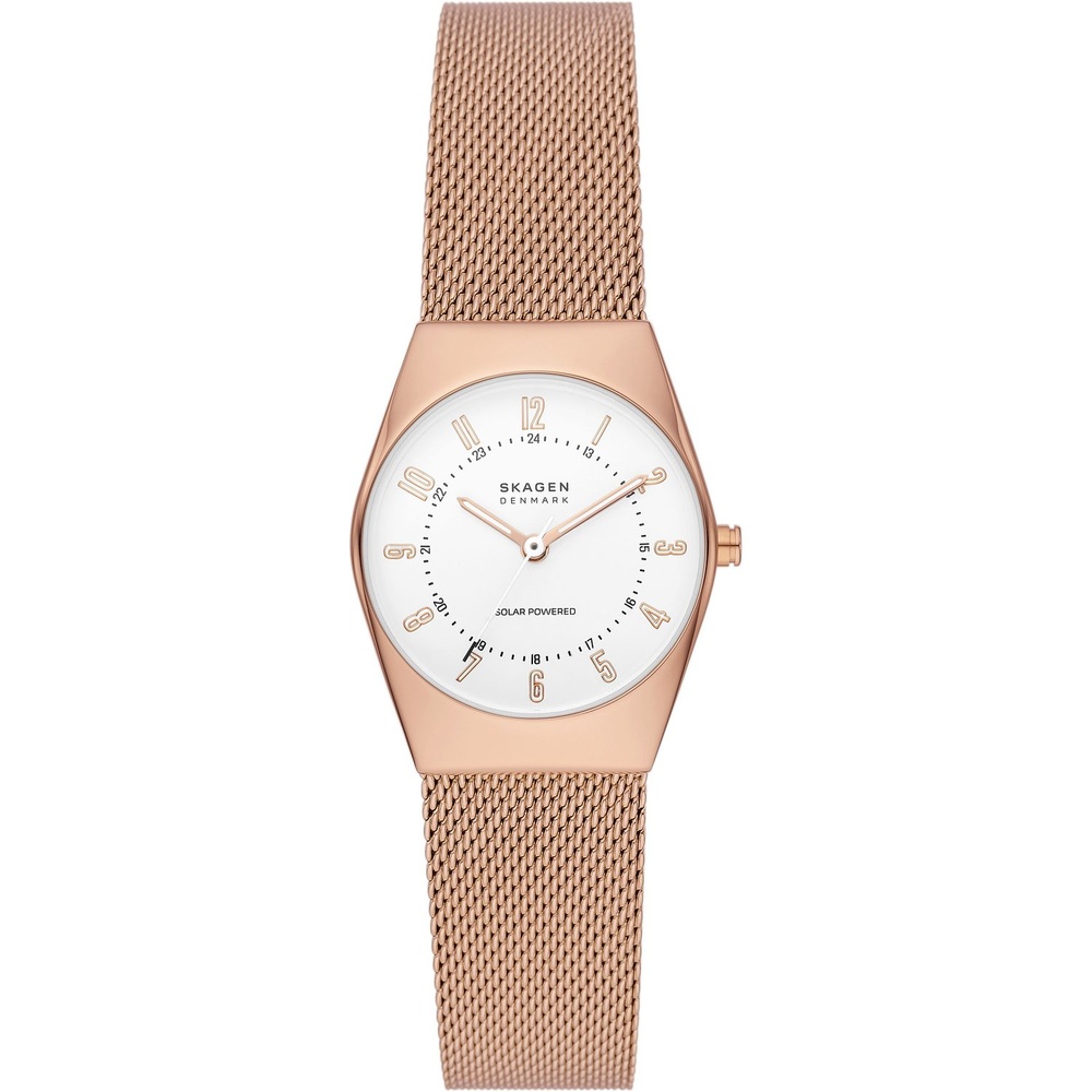 Skagen Montre pour femme Acier inoxydable Montre