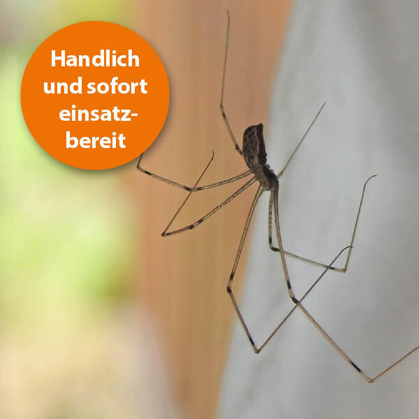 Ardap Zubehör Ardap Spinnen Zerstäuber 500ml